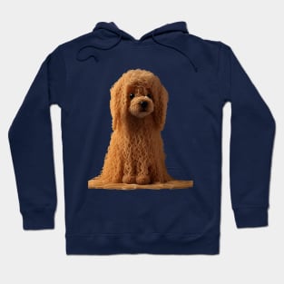 Spaghetti Poodle Hoodie